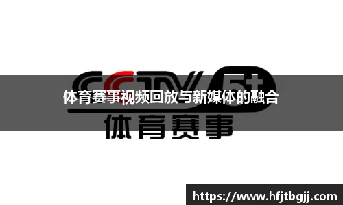体育赛事视频回放与新媒体的融合